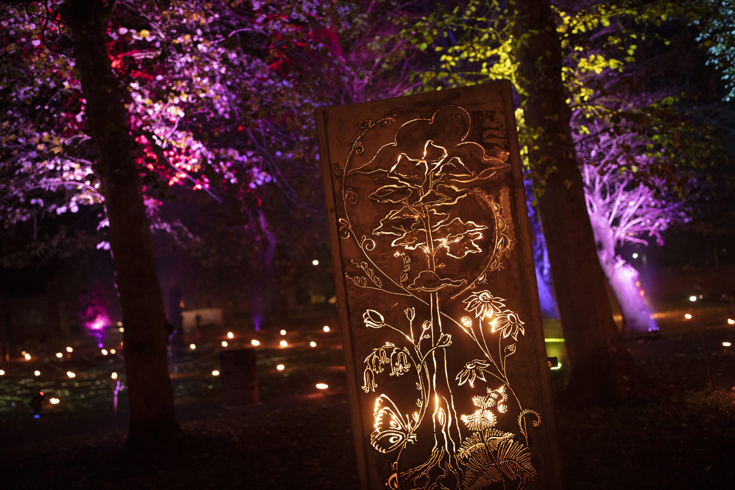 Illuminate 2021 Gallery Discover Gainsborough